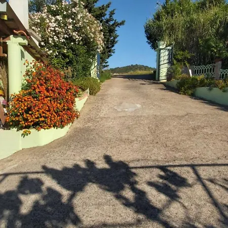 Apartment Jolanda *